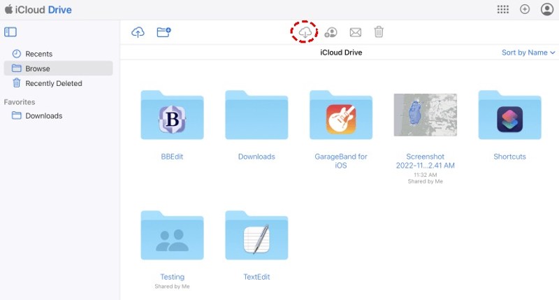 Download From iCloud Drive