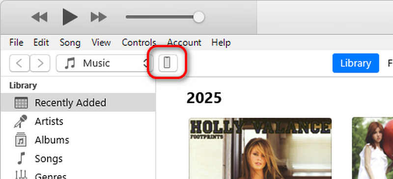 Ouvrez votre iPad dans iTunes