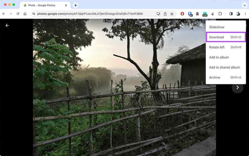 Download Google Foto's