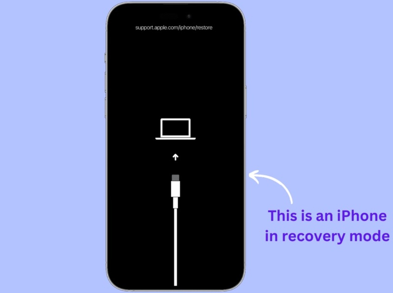 iPhone в режиме восстановления