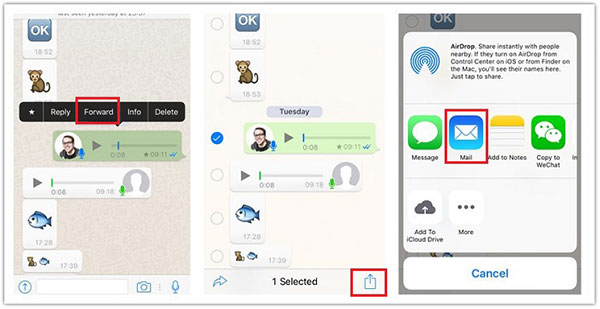 Enregistrer WhatsApp Audio iPhone sélectivement