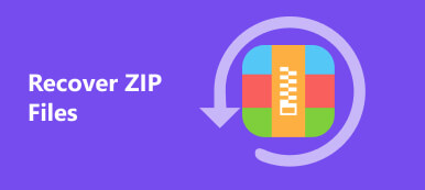 Récupérer des fichiers ZIP