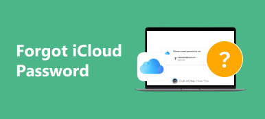 Olvidé mi contraseña de iCloud