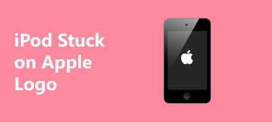 iPod stuck on Apple logo