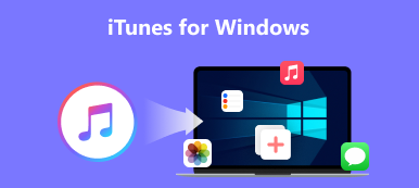 Windows için iTunes