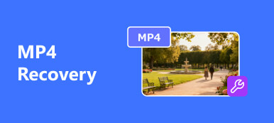 Ανάκτηση MP4