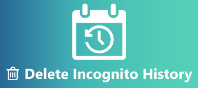 Vymazat historii inkognito