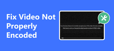 Reparar vídeo no codificado correctamente