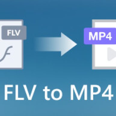 flv-to-mp4-s-386x386.jpg