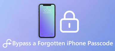 Unutulmuş iPhone Şifresi