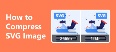 Comprimir SVG