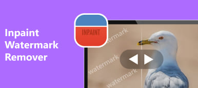 Suppresseur de filigrane Inpaint