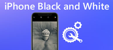 iPhone Siyah Beyaz