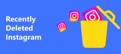 Instagram eliminado recientemente