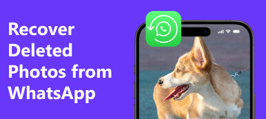 Recuperar fotos borradas de Whatsapp