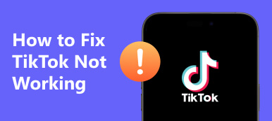 TikTok 无法运行