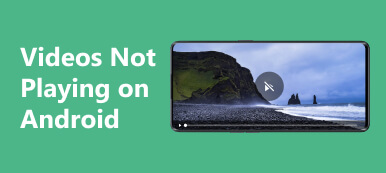Les vidéos ne sont pas lues sur Android