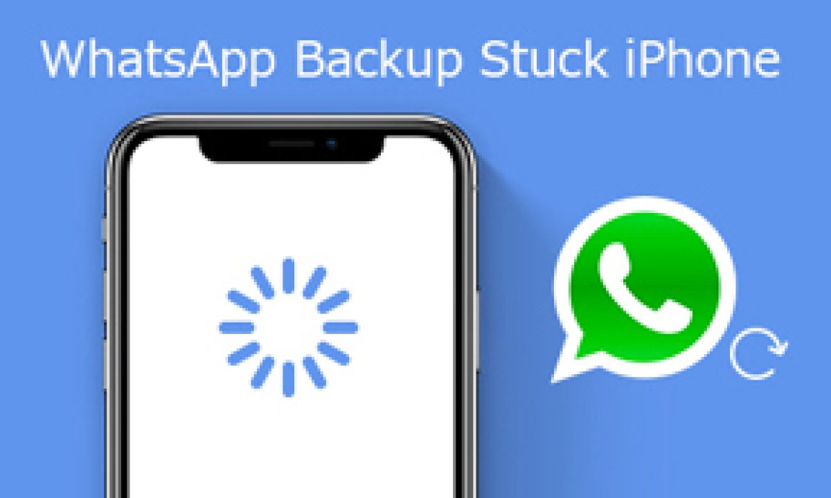 修复WhatsApp备份卡住的问题–您应该知道的8种最佳方法