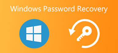 Windows Şifre Kurtarma