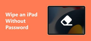 Vymazat iPad bez hesla