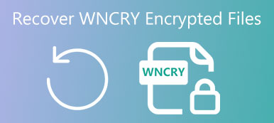 Wncry Recovery
