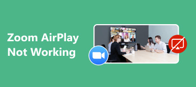 Zoom Airplay no funciona