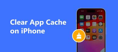 清除 iPhone 上的应用程序缓存