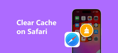 清除 Safari 上的缓存