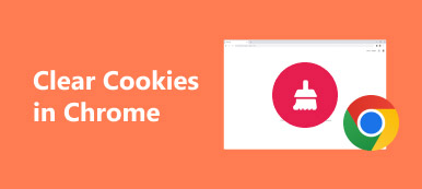 在 Chrome 中清除 Cookie
