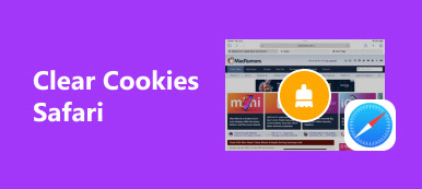 清除 Safari 的 Cookie