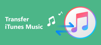 传输 iTunes 音乐