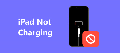 iPad Not Charging