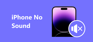 iPhone No Sound