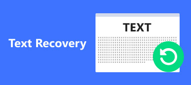 Text Recovery S