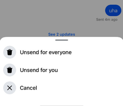 Unsend For Everyone or You Mobile