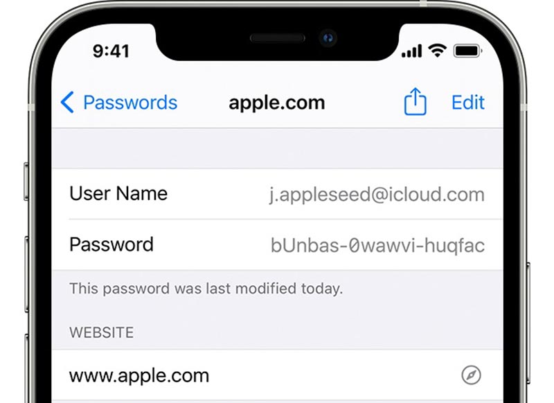 Find iCloud Password iPhone Settings
