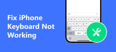 İPhone Klavye Çalışmıyor