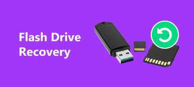 Flash Drive Recovery S