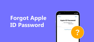 Forgot Apple ID Password
