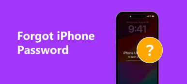 Forgot iPhone Password S