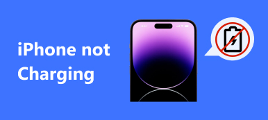 iPhone Şarj Etmiyor