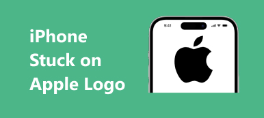 iPhone Apple Logosunda Kalmış