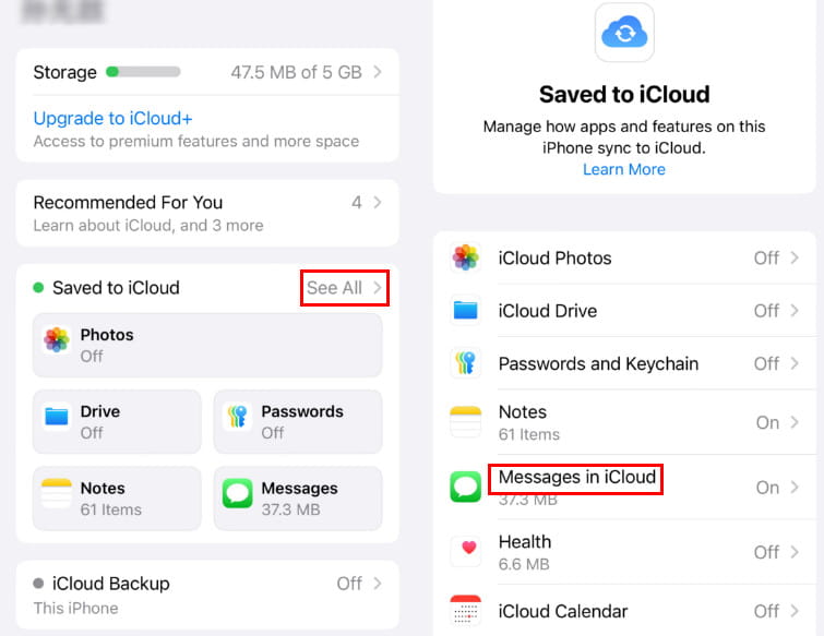 Ver todos los mensajes en iCloud
