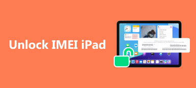 IMEI iPad ontgrendelen