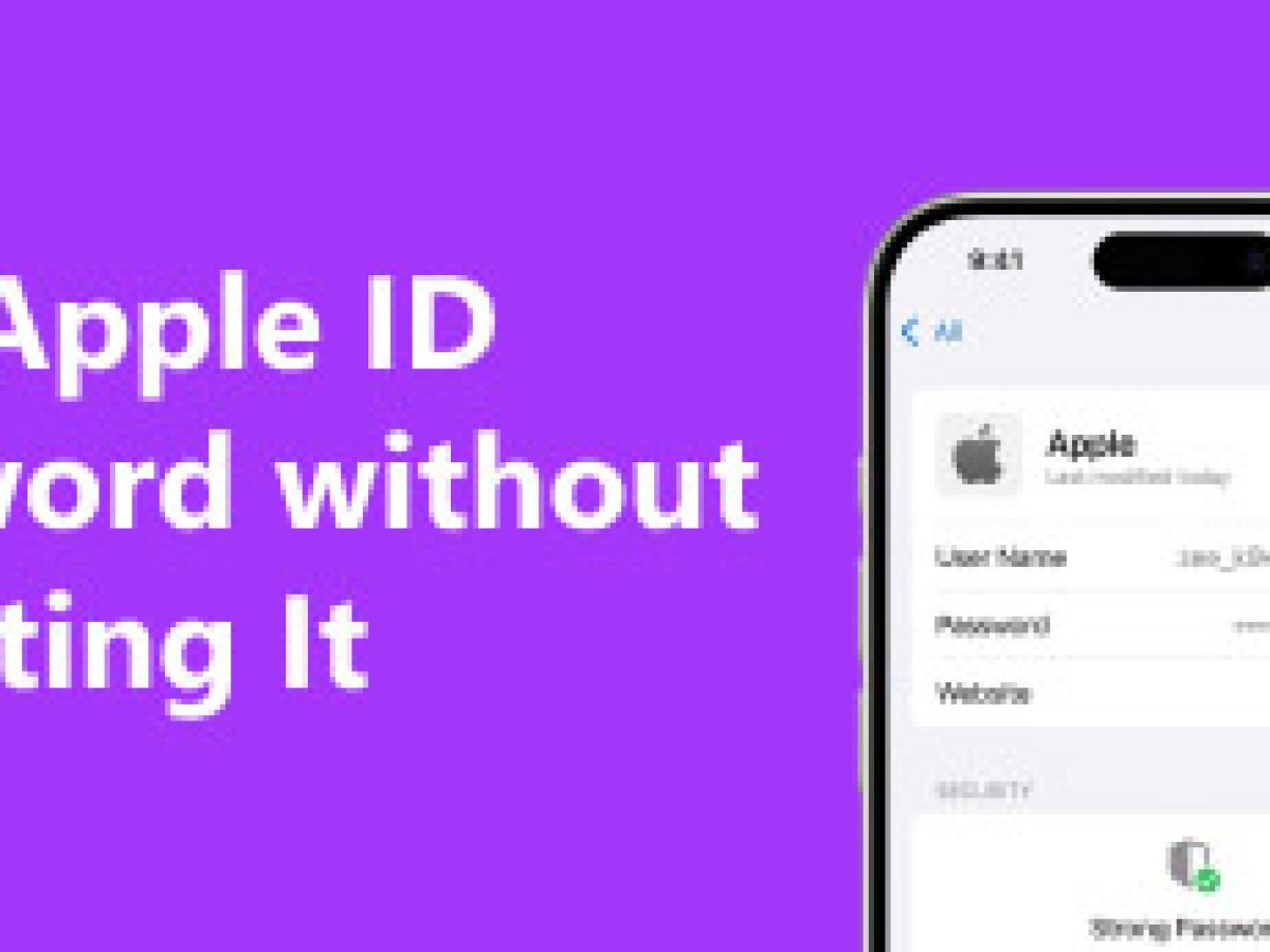 재설정하지 않고 잃어버린 Apple ID 비밀번호 찾기