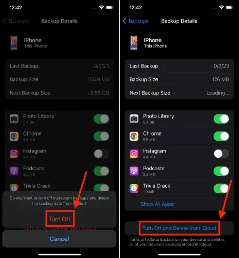 Turn Off App And Delete From icloud