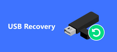 Obnova USB