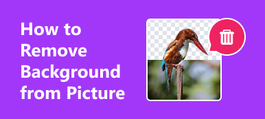 How to Remove Background From Picture